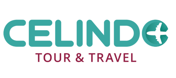 Logo Celindo